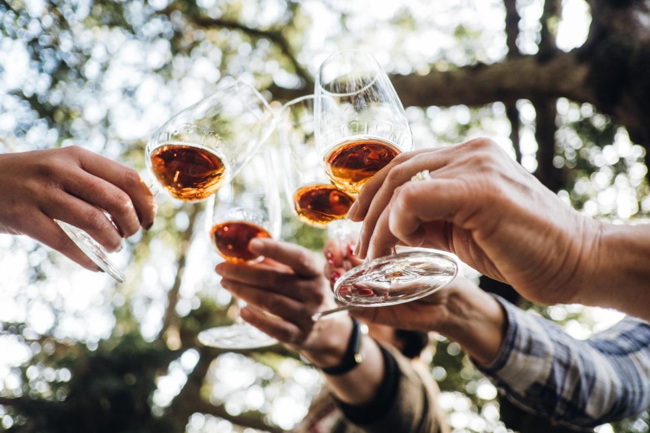 Willa Casa Do Santo - Wine & Tourism Provesende Zewnętrze zdjęcie