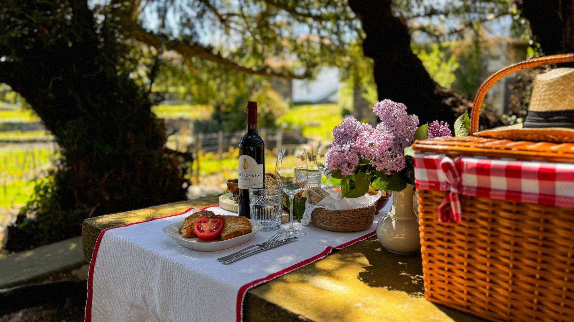 Willa Casa Do Santo - Wine & Tourism Provesende Zewnętrze zdjęcie